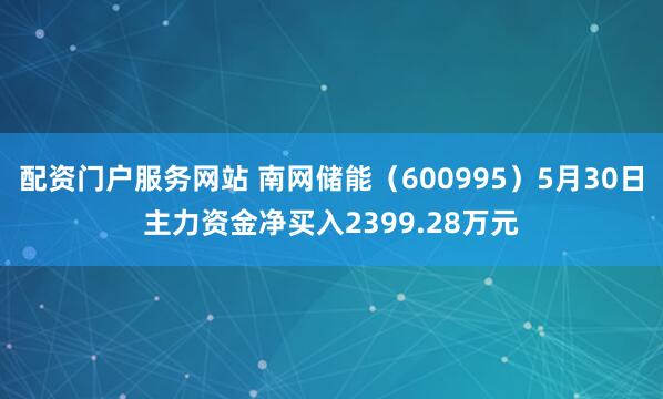 配资门户服务网站 南网储能（600995）5月30日主力资金净买入2399.28万元